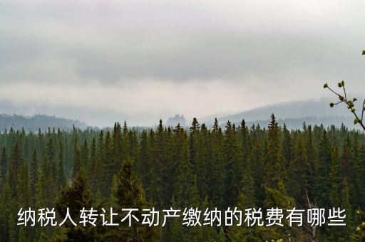 轉讓不動產(chǎn)交什么稅，納稅人轉讓不動產(chǎn)繳納的稅費有哪些