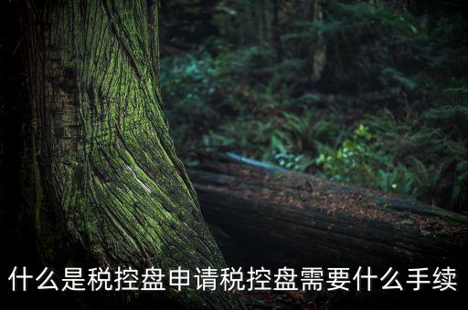 稅控盤(pán)制證是什么，去稅務(wù)局辦理稅控盤(pán)需要什么資料流程怎么走呢