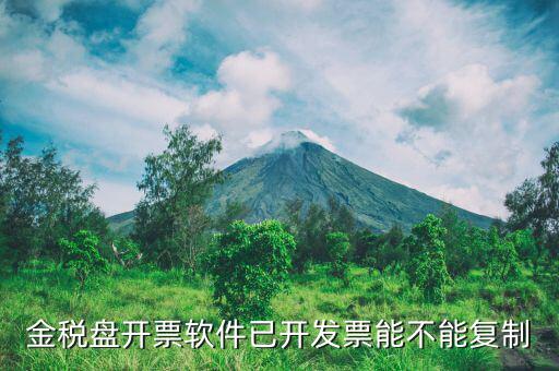 什么發(fā)票能進(jìn)行復(fù)制發(fā)票操作，如何將Excel中制作的發(fā)票專(zhuān)業(yè)發(fā)票復(fù)制到Word文檔中并且格式