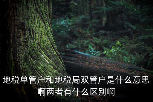 單管戶什么意思，地稅單管戶除了飲食行業(yè)外還有哪幾個行業(yè)