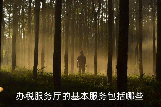 一體化辦稅服務廳是什么，辦稅服務廳的基本服務包括哪些