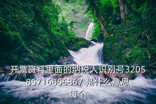 納稅人稅務(wù)識別號是什么意思，納稅人識別碼是什么