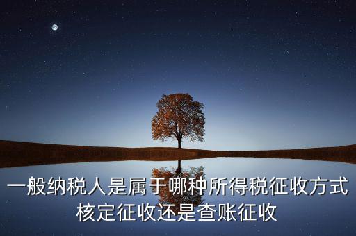 一般納稅人屬于什么，什么是一般納稅人