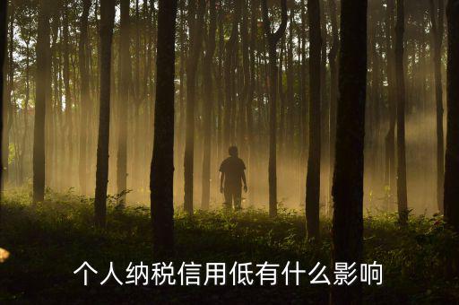 納稅信用記錄是什么，金稅三期納稅信用管理是什么意思