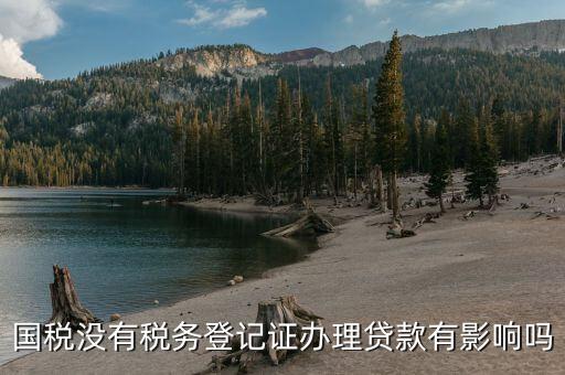國(guó)稅未實(shí)名會(huì)影響什么，稅務(wù)未實(shí)名認(rèn)證對(duì)負(fù)責(zé)人有影響么
