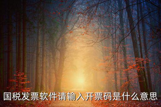 開票二維碼是什么軟件，天津國稅通用機(jī)打發(fā)票二維碼包含的內(nèi)容解碼軟件