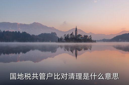 國地稅共管戶比對清理是什么意思