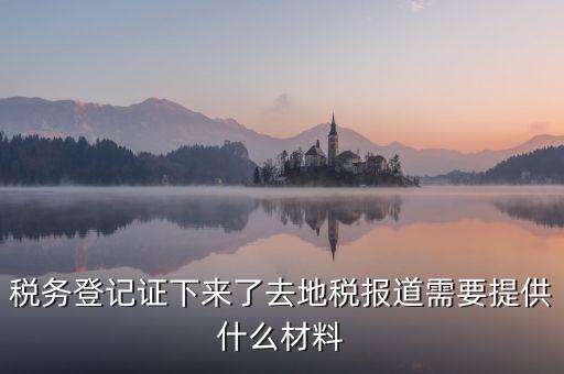 國地稅報道需要什么，地稅報道需要什么材料2016最新的