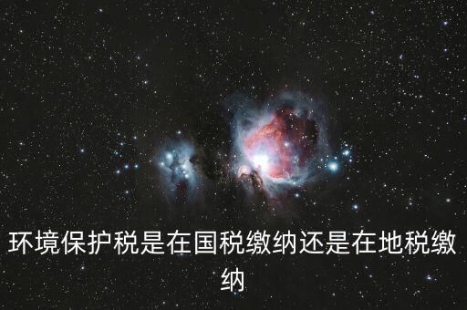 什么是環(huán)境保護稅納稅人，環(huán)境稅是什么意思