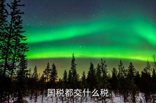 國(guó)稅稅費(fèi)是什么，國(guó)稅都交什么稅