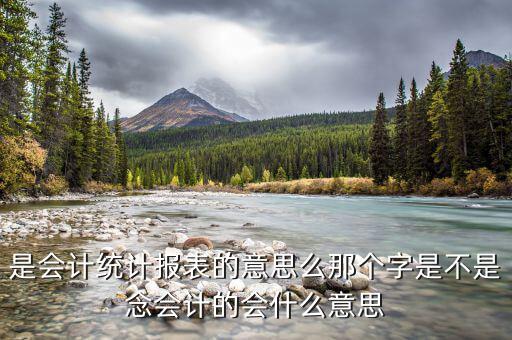 統(tǒng)計納稅申報表是什么，請問納稅申報中的基礎表數(shù)據(jù)中的基礎表是指什么