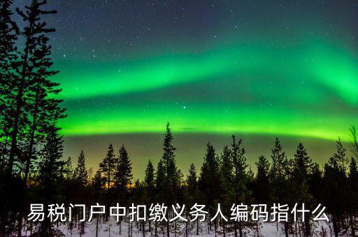 扣繳義務(wù)人識別碼是什么，易稅門戶中扣繳義務(wù)人編碼指什么