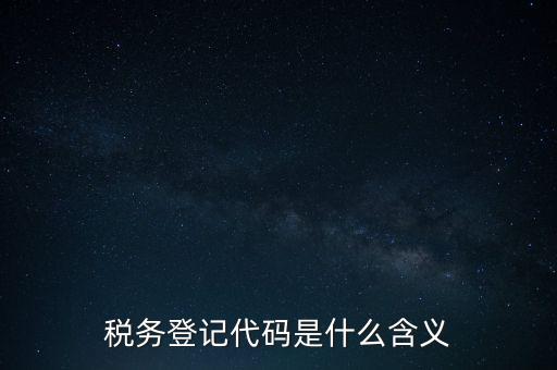 國稅發(fā)票認證登錄代碼是什么意思，國稅局發(fā)票軟件里用戶代碼和密碼是什么