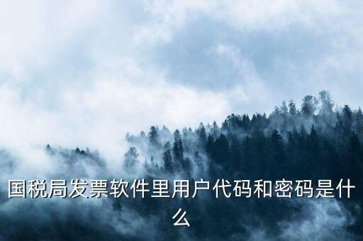 網(wǎng)上認(rèn)證發(fā)票平臺密碼是什么樣的，國稅局發(fā)票軟件里用戶代碼和密碼是什么
