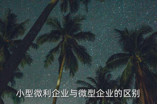 小型微利企業(yè)指的是什么，小型微利企業(yè)與微型企業(yè)的區(qū)別