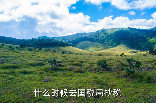 什么時候抄稅報(bào)稅，什么時候去國稅局抄稅
