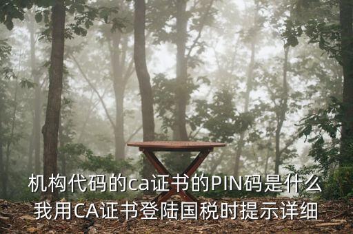 機(jī)構(gòu)代碼的ca證書的PIN碼是什么我用CA證書登陸國(guó)稅時(shí)提示詳細(xì)