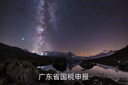 廣東省國稅2號窗是什么，廣州國稅網(wǎng)2號窗口查詢區(qū)可以查詢什么信息
