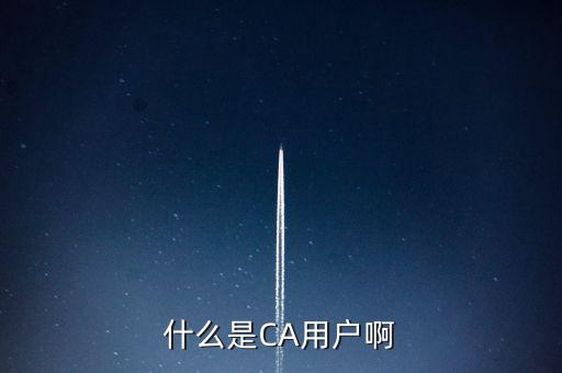 稅務(wù)總局ca系統(tǒng)是什么意思，Ca是什么