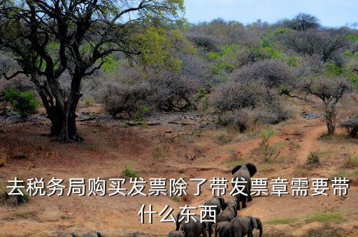 購(gòu)發(fā)票需要什么資料，個(gè)人購(gòu)物開增值稅普通發(fā)票需要什么資料
