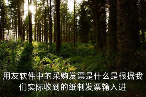 上下游采購發(fā)票是什么，用友軟件中的采購發(fā)票是什么是根據(jù)我們實際收到的紙制發(fā)票輸入進