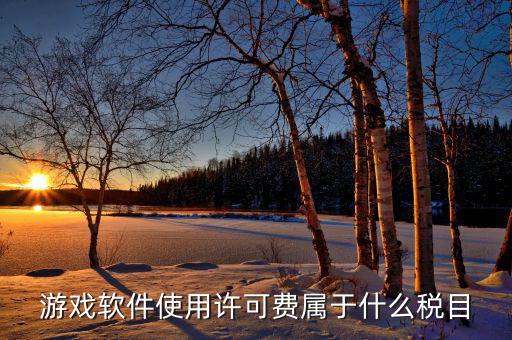 軟件使用費交什么稅，軟件使用費應開國稅發(fā)票還是地稅發(fā)票