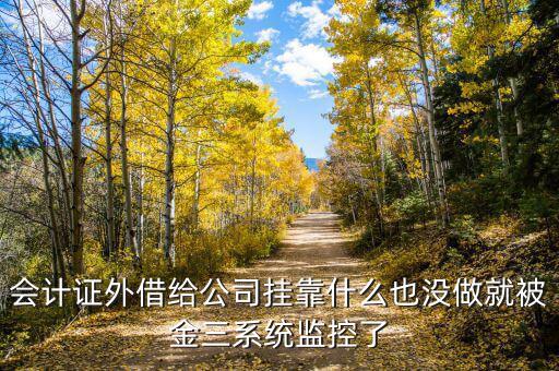 金三系統(tǒng)有什么問(wèn)題，會(huì)計(jì)證外借給公司掛靠什么也沒(méi)做就被金三系統(tǒng)監(jiān)控了
