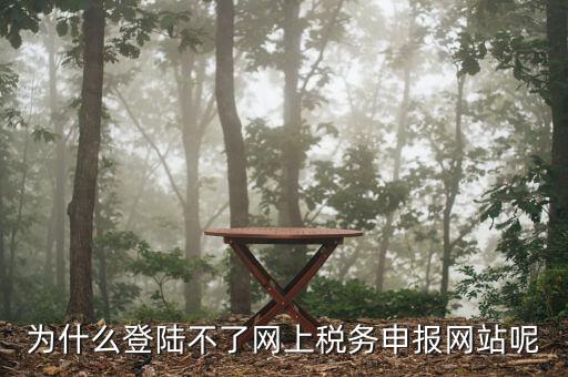申報(bào)個(gè)稅登錄不上去是什么原因，為什么我的個(gè)人所得稅總是登不上去