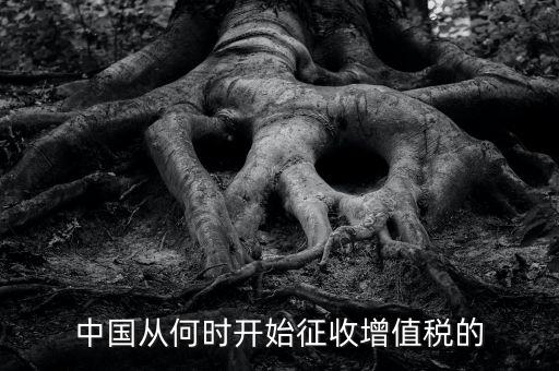 什么時候征收增值稅，批發(fā)零售業(yè)增值稅征收率什么時間開始為3