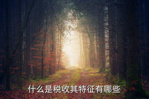 稅收的特點(diǎn)是什么意思，稅收的實(shí)質(zhì)和特征