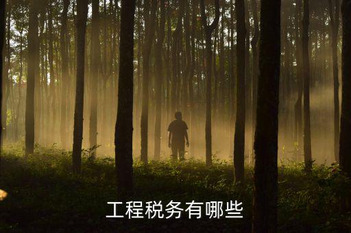 稅務(wù)三代項目是什么，通常說的三稅是指什么啊