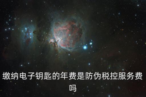 防偽稅控服務費是什么，關于防偽稅控服務費