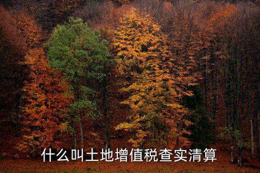 土地增值稅為什么清算，土地增值稅清算