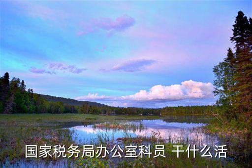 國稅行政辦公室干什么，國稅局辦公室怎么樣