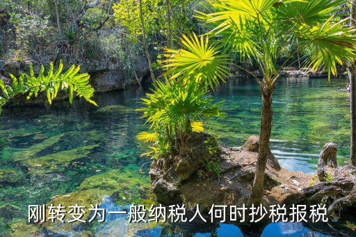 什么時候抄報稅，什么時候去國稅局抄稅