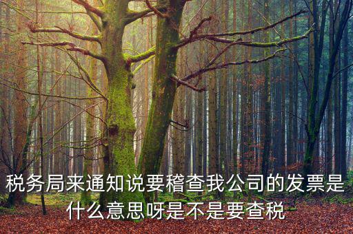 稅務(wù)局來(lái)通知說要稽查我公司的發(fā)票是什么意思呀是不是要查稅