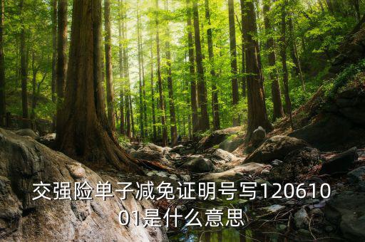 交強(qiáng)險(xiǎn)單子減免證明號(hào)寫(xiě)12061001是什么意思