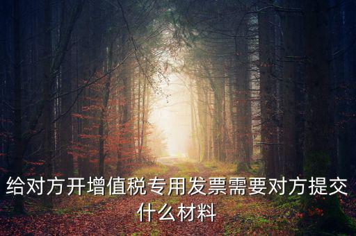 開專票要什么資料，加油卡開增值稅專用發(fā)票需要什么資料