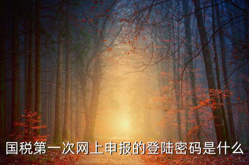 網(wǎng)上稅稅通密碼是什么，國稅第一次網(wǎng)上申報的登陸密碼是什么