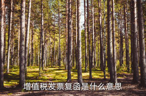 發(fā)票發(fā)函是什么意思，增值稅發(fā)票復(fù)函是什么意思