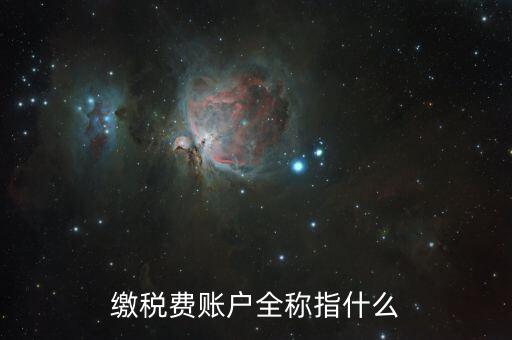 納稅賬戶(hù)是什么，我們公司申請(qǐng)的一個(gè)專(zhuān)門(mén)用來(lái)繳納稅款的賬戶(hù)是什么賬戶(hù)