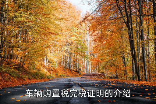 車輛購(gòu)置稅完稅證明的介紹