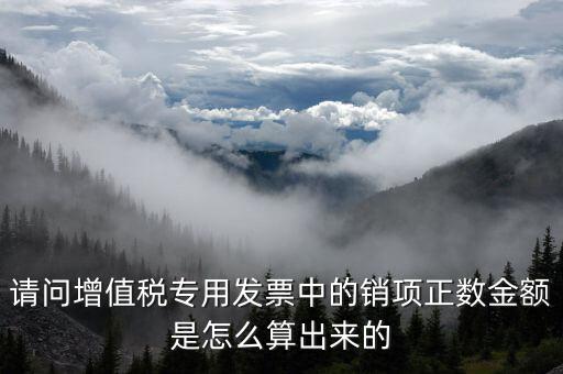 銷項(xiàng)正數(shù)金額是什么意思，銷項(xiàng)正數(shù)金額銷項(xiàng)負(fù)廢金額銷項(xiàng)負(fù)數(shù)金額是什么意