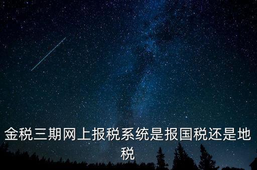 用金稅三期軟件報(bào)什么稅，金稅三期網(wǎng)上報(bào)稅系統(tǒng)是報(bào)國(guó)稅還是地稅