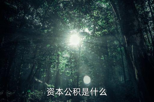 攜稅寶是什么，資本公積是什么