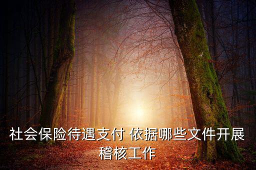 聯(lián)合稽查工作應(yīng)遵循什么，稅務(wù)稽查工作底稿必須包括哪些內(nèi)容
