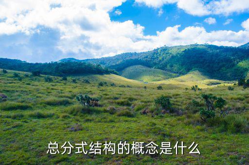 總分機構(gòu)標志是什么意思，總分機構(gòu)納稅人是什么意思