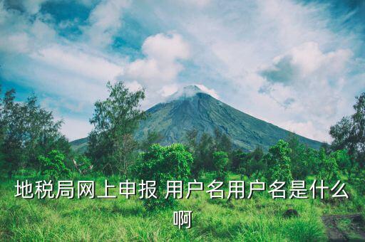 地稅注冊用戶名是什么意思，地稅的用戶名是什么