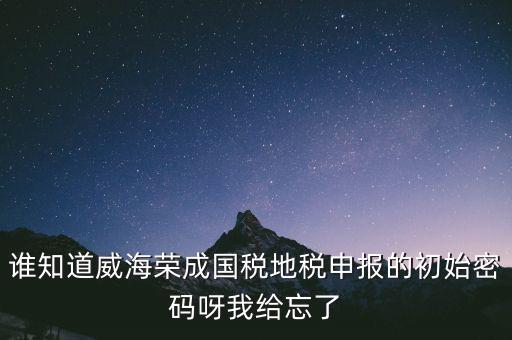 申報(bào)地稅的密碼是什么，徐州地稅網(wǎng)上申報(bào)的初始密碼是多少啊