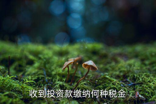 銷售投資品 納什么稅，收到投資款繳納何種稅金